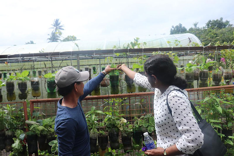 Dr Komali Kantamaneni looking at plants as part of the GCRF project