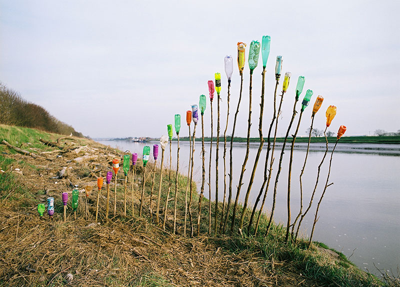 Lots of bottles on sticks on a river shore line