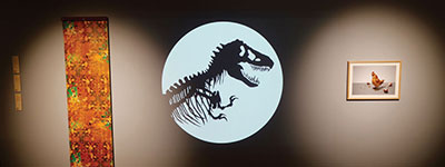 A dinosaur skeleton projected on to a wall