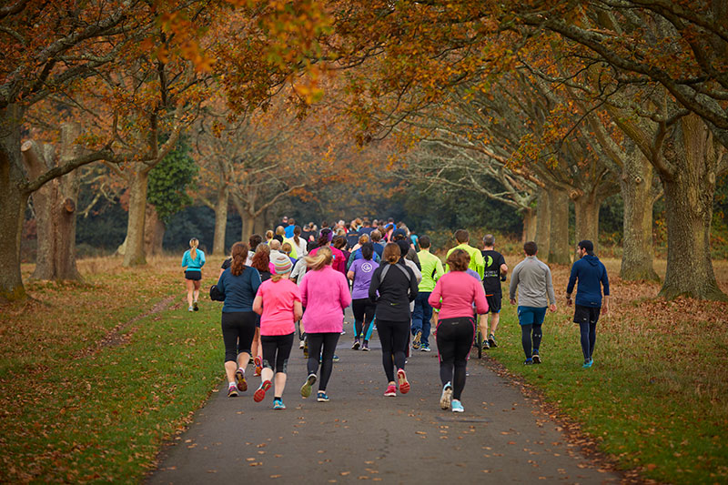 Group of runners in the park at autumn